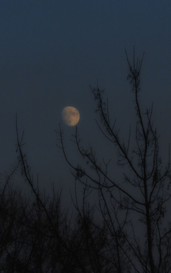 The Moon on November 9, 2019. - Astrophotography