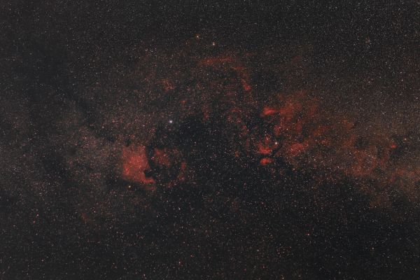 Cygnus - Astrophotography