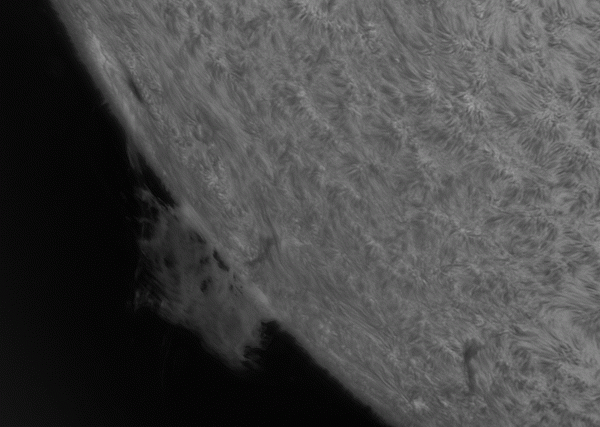Prominence animation March 28, 2025. - Astrophotography