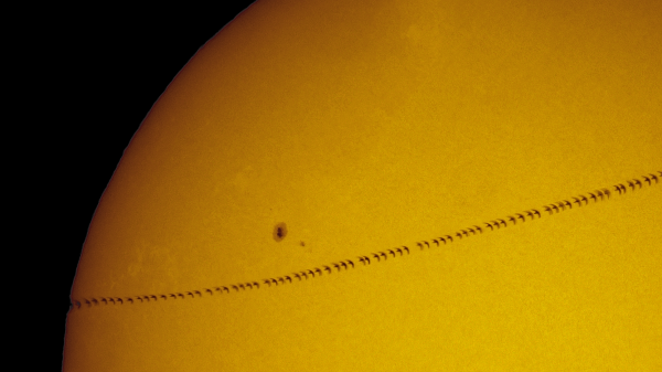 Sunspots and a Bird Flyby from June 24, 2022 - Astrophotography