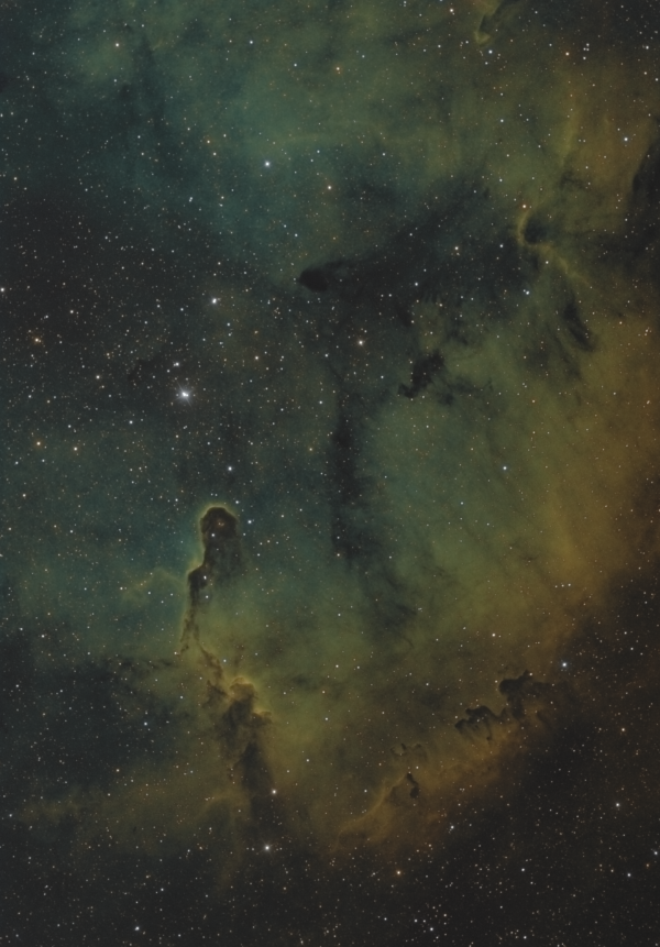 IC 1396 - Astrophotography