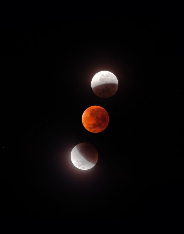 Lunar Eclipse - Astrophotography