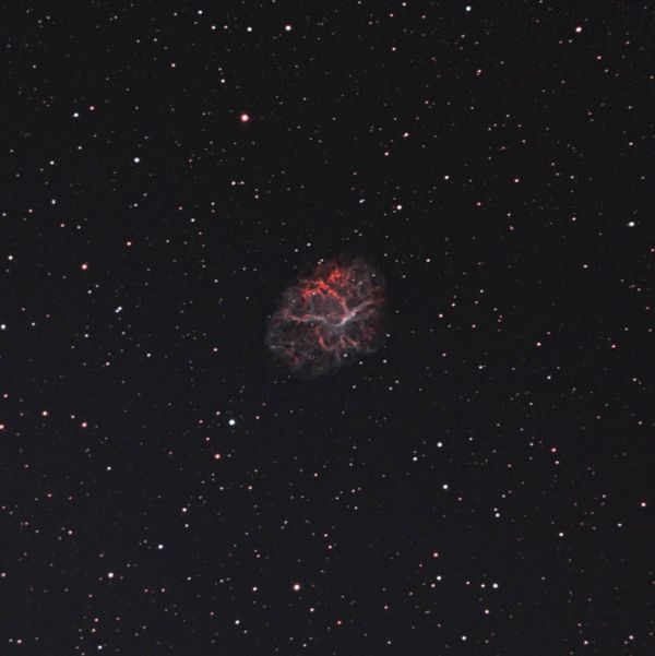 Crab Nebula M1 - Astrophotography