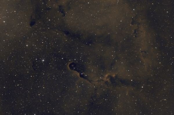 Elephant's Trunk Nebula (IC 1396) - Astrophotography