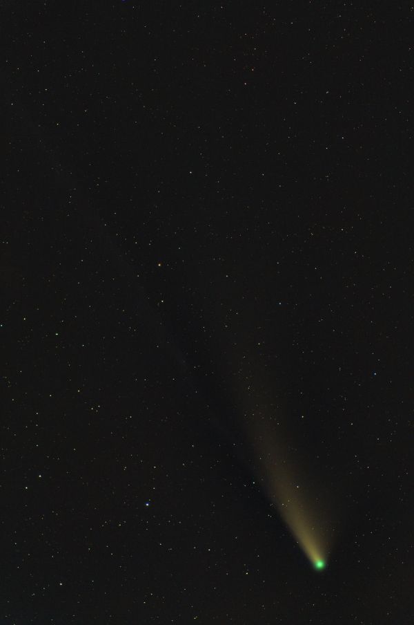 Comet C/2020 F3 (NEOWISE) - Astrophotography