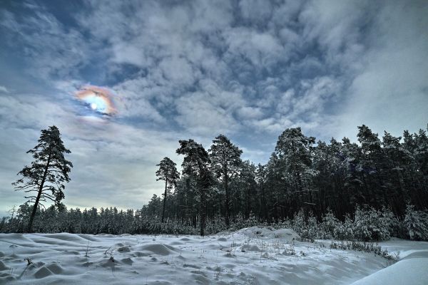 Moonrise 12.2023 - Astrophotography