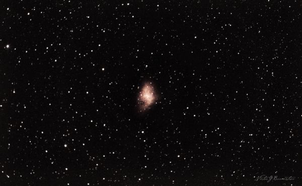 M1 Crab Nebula - Astrophotography