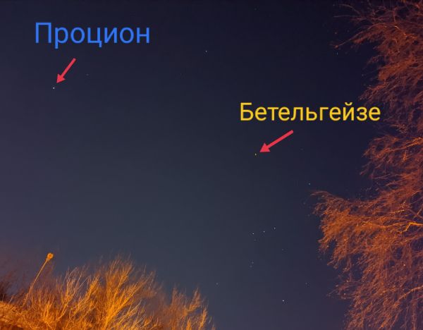 Betelgeuse and Procyon - Astrophotography