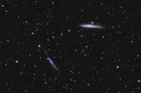 The Whale and the Hockey Stick - Astrophotography