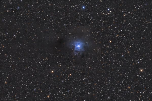 Reflection Nebula Iris NGC 7023 - Astrophotography