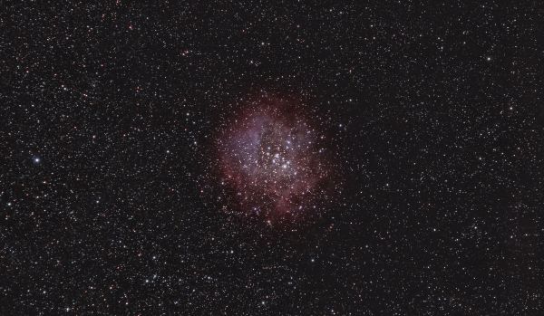 NGC 2237 Rosette Nebula - Astrophotography