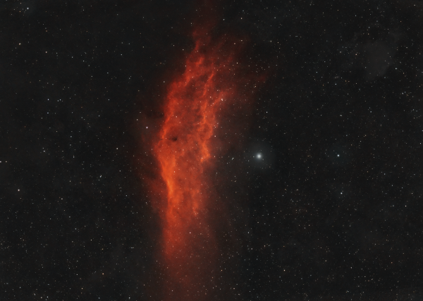 NGC 1499 California Nebula - Astrophotography