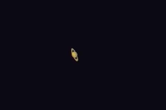 Saturn - Astrophotography