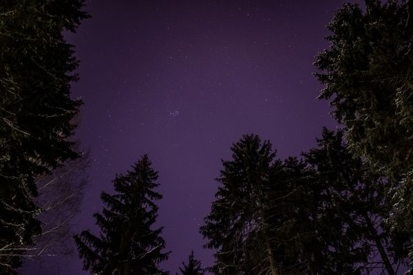 Pleiades - Astrophotography