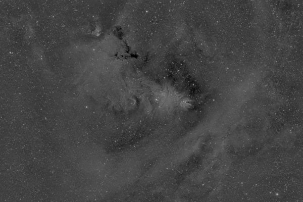 NGC2264 and its surroundings - Astrophotography