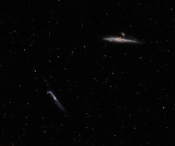 NGC 4631 and NGC 4656 (Whale Galaxy and Hockey Stick) - Astrophotography