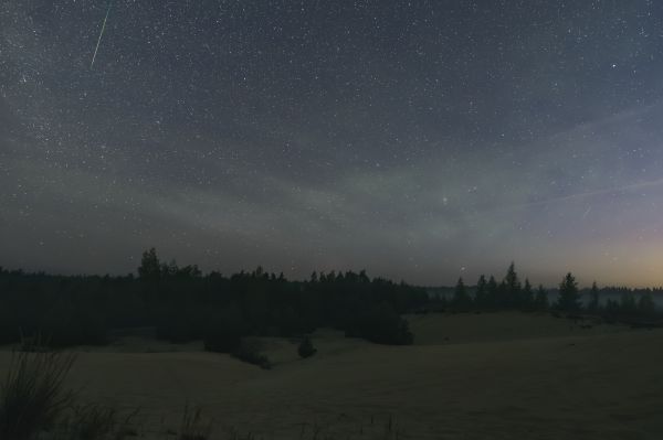 Lonely Perseid - Astrophotography