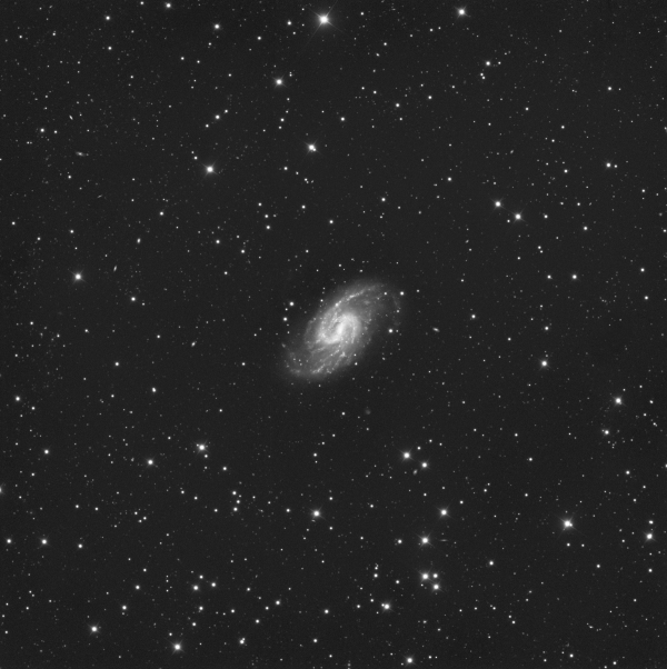 NGC 3359 - Astrophotography