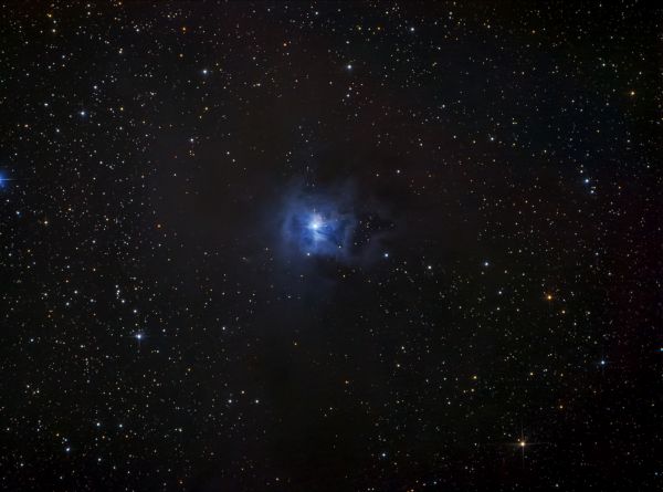 NGC7023. Iris Nebula. - Astrophotography