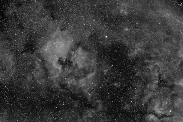 HYDROGEN NEBULOSITIES AT CYGNUS H-ALPHA ONLY - Astrophotography