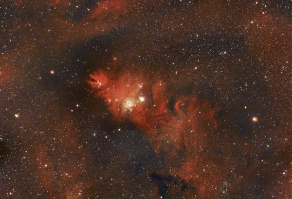 NGC2264 Nebulosa Albero di Natale (Cone Nebula) - Astrophotography