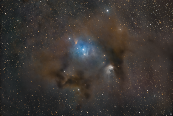 Chamaeleon molecular clouds - Astrophotography