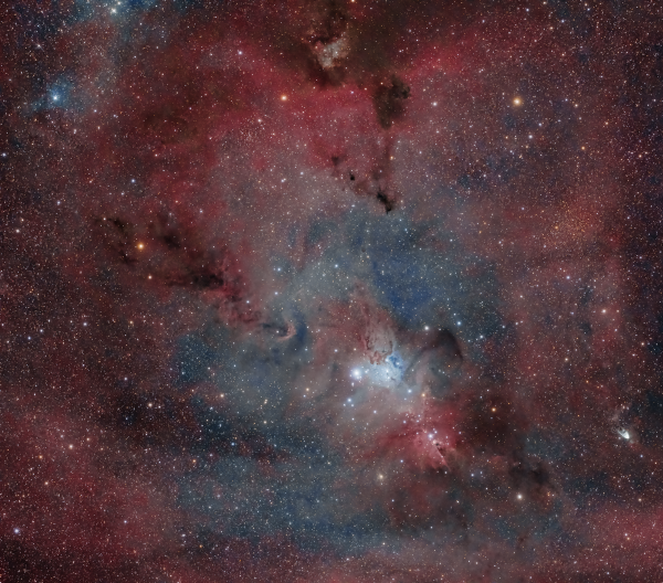 Christmas Tree Region - Astrophotography