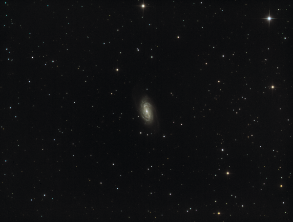 NGC 2903, 2905 - Astrophotography