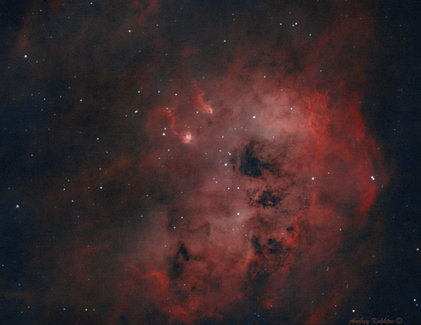 Tadpole Nebula (IC410) 19.02.2029 - Astrophotography