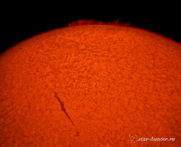 H-alpha Sun (31 aug 2015. 14:58) - Astrophotography