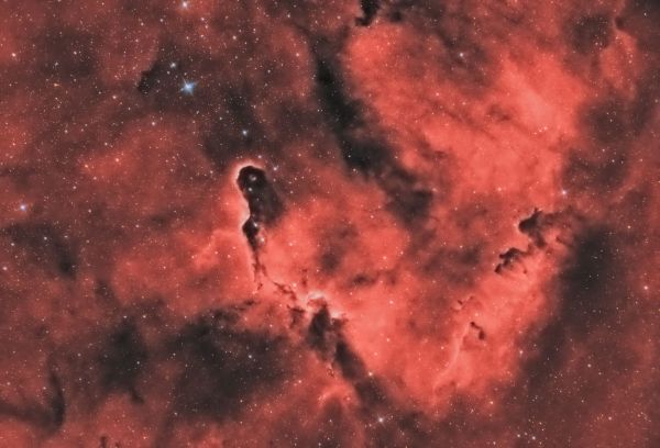 Elephant's Trunk Nebula - Astrophotography