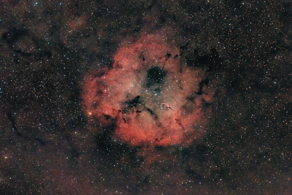 IC 1396 - Astrophotography