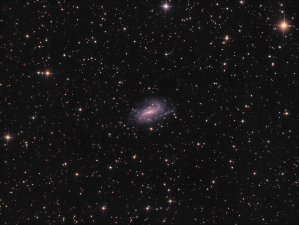 NGC 925 Galaxy in Triangle LRGB - Astrophotography