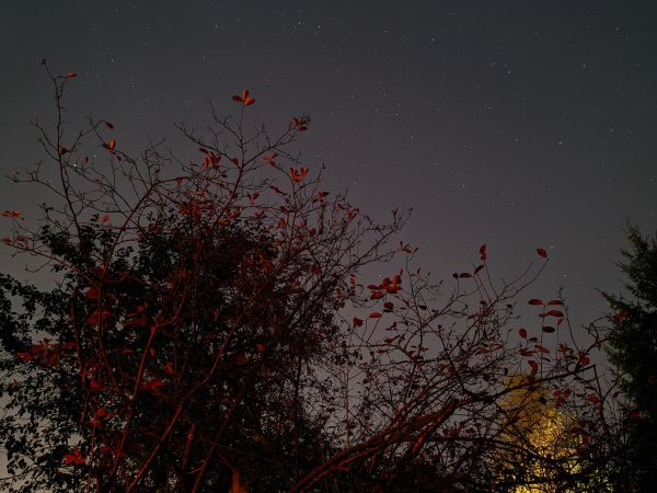 Autumn night - Astrophotography