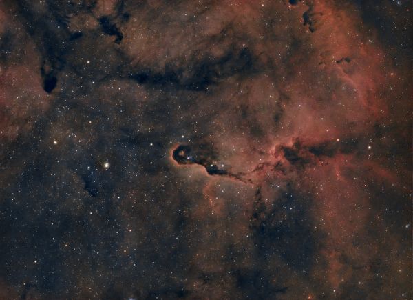 IC1396 Elephant Trunk - Astrophotography