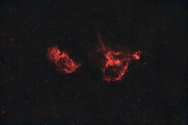 Ghost and Heart Nebulae. Taken within the city limits - Astrophotography