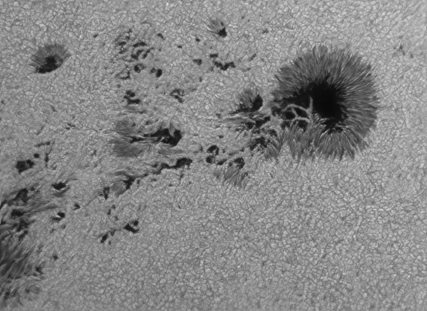 Sunspot group AR 2403 at 07:13 UT on 23.08.2015 - Astrophotography