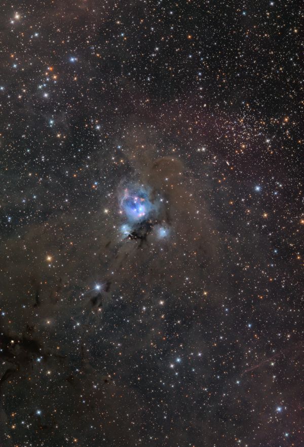 NGC7129 - Astrophotography