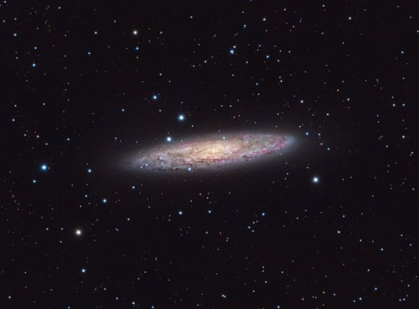 NGC253 Sculptor Galaxy (highlighting H-alpha regions) - Astrophotography