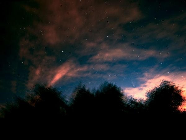 C2020f3 Neowise - Astrophotography