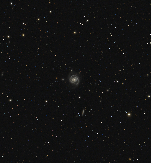 M 100 - Astrophotography