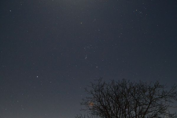 The Orion Nebula under moonlight - Astrophotography