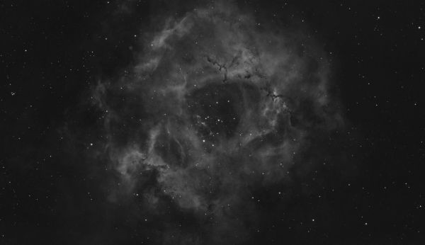 NGC 2238 Rosette Nebula - Astrophotography