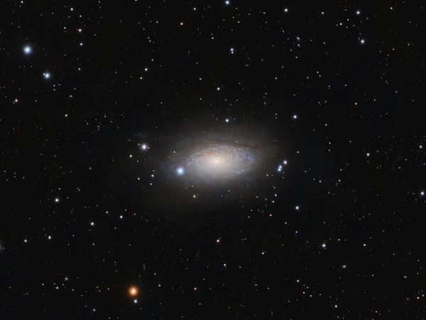 M63 Sunflower, Canes Venatici - Astrophotography