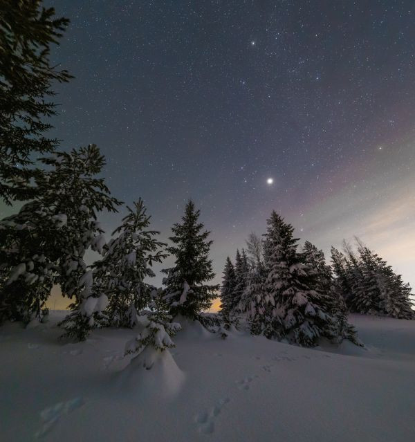 Jupiter in Gemini - Astrophotography