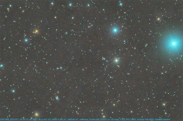 310P/Hill - Astrophotography