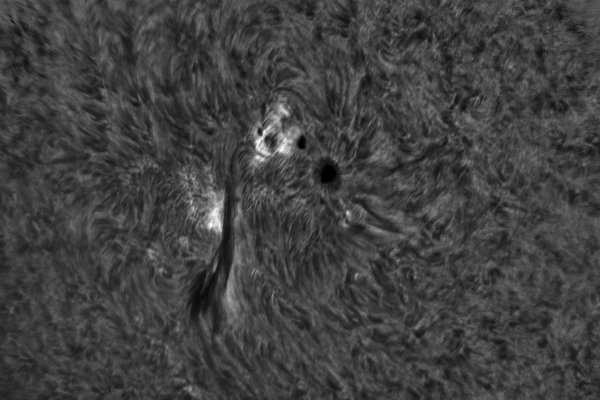 2020.06.06 Sun AR12765 H-Alpha - Astrophotography