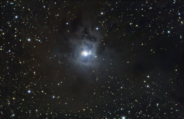 NGC 7023 Iris nebula - Astrophotography