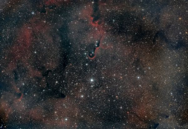 Elephant Trunk Nebula IC 1396A - Astrophotography