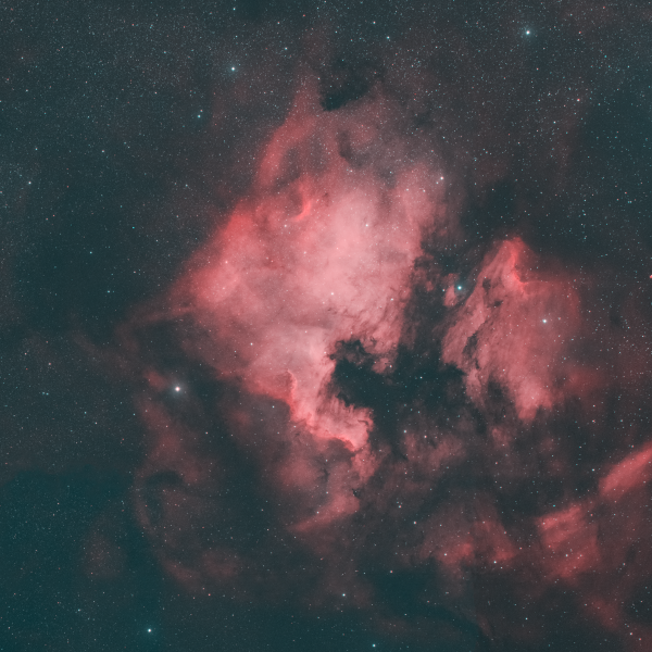 The North America Nebula and the Pelican Nebula in the constellation Cygnus - Astrophotography